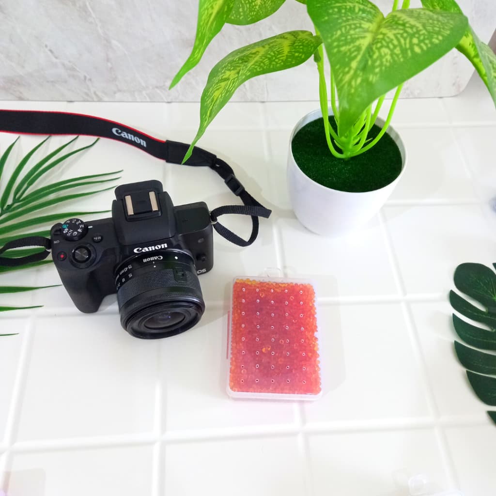 Fotology Silica gel orange untuk dry box serap lembab 60 gram kemasan kotak plastik